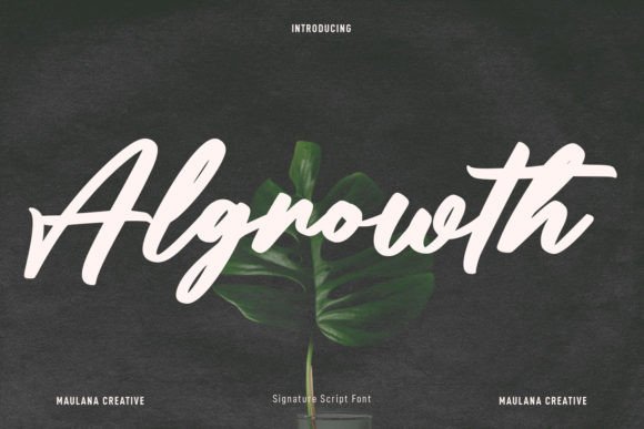Algrowth: A Casual and Bold Script Font for Editorial Design