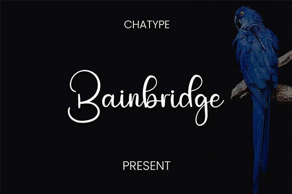 Bainbridge: A Casual Script Font for Warm Editorial Moments