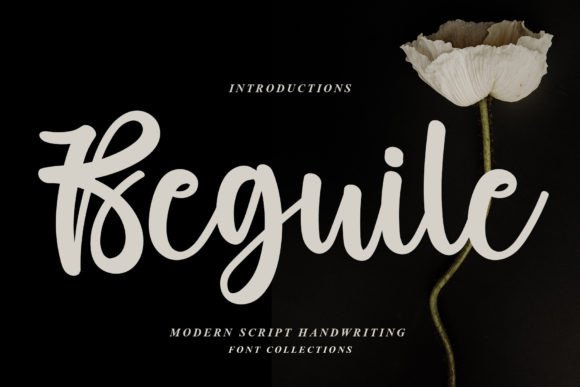 Beguile Script Font for Elegant Digital Branding