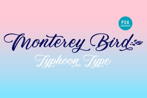 Monterey Bird: A Delicate Script Handwritten Font for Elegant Branding